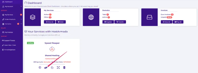 HostArmada Review : Better Alternative To Hosting.com? 15 Hostarmada Dashboard